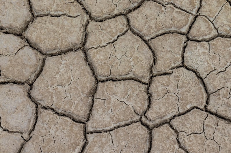 Quality soil